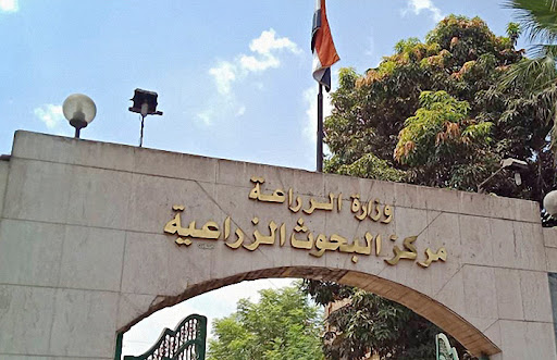 الإعلان عن خريطة جديدة للمحاصيل الزراعية بسبب الظروف المناخية